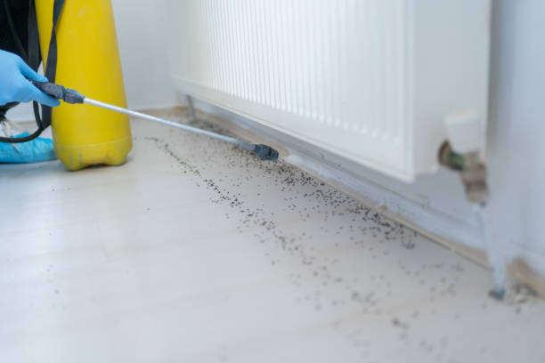 Best Mosquito Control Services  in Northfield, MN