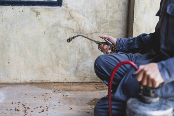 Best Best Pest Control Companies  in Northfield, MN